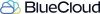 BlueCloud Services, Inc.'s company logo