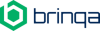 Brinqa's company logo