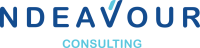 NDEAVOUR CONSULTING's company logo