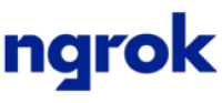 ngrok Inc.'s company logo