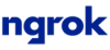 ngrok Inc.'s company logo