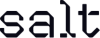 Salt AI's company logo