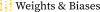 Weights & Biases's company logo
