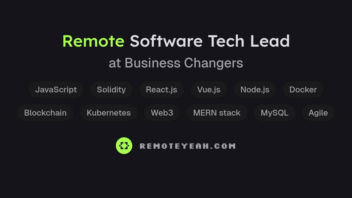 Remote Software Tech Lead at Business Changers